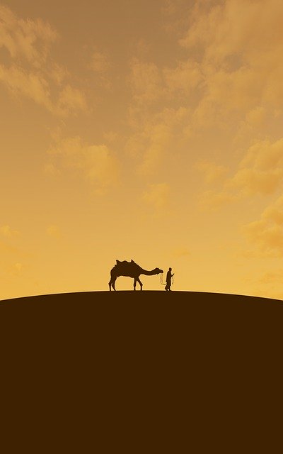 Free download Desert Camel Orange -  free illustration to be edited with GIMP free online image editor