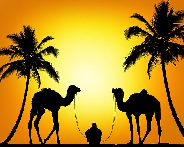 Kostenloser Download Desert Camels Man - kostenlose Illustration zur Bearbeitung mit GIMP Online-Bildbearbeitungsprogramm