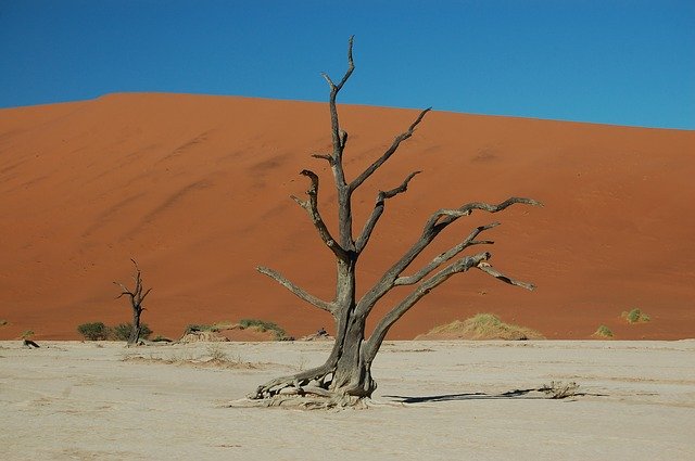 Free download Desert Drought Sand -  free photo or picture to be edited with GIMP online image editor