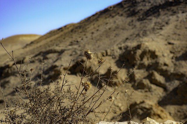 Descarga gratuita desierto seco si arena paisaje imagen gratis para editar con el editor de imágenes en línea gratuito GIMP