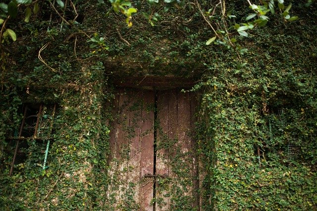 Bezpłatne pobieranie Deserted Natural - bezpłatne zdjęcie lub obraz do edycji za pomocą internetowego edytora obrazów GIMP