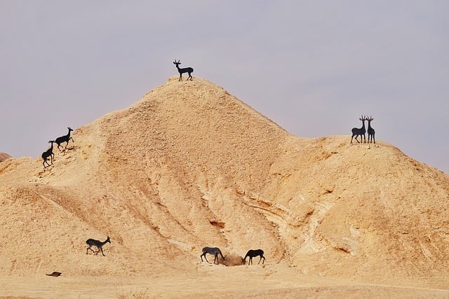 Бесплатно скачать пустынный пейзаж Израиля, шоссе, холм, бесплатную картинку для редактирования в GIMP, бесплатный онлайн-редактор изображений