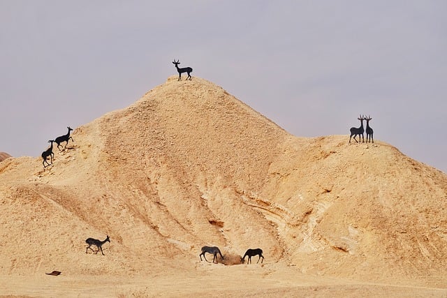 Free download desert israel scenery freeway hill free picture to be edited with GIMP free online image editor