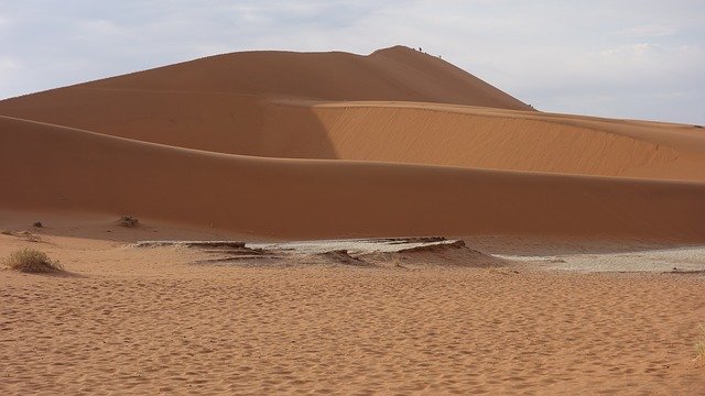 Template Photo Desert Namib Sand for OffiDocs