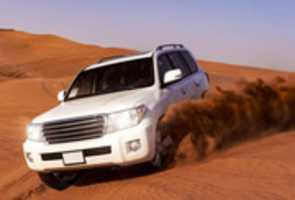 Free download Desert Safari Deals Dubai free photo or picture to be edited with GIMP online image editor