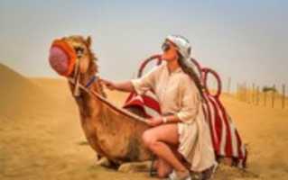 Free picture desert safari dubai to be edited by GIMP online free image editor by OffiDocs