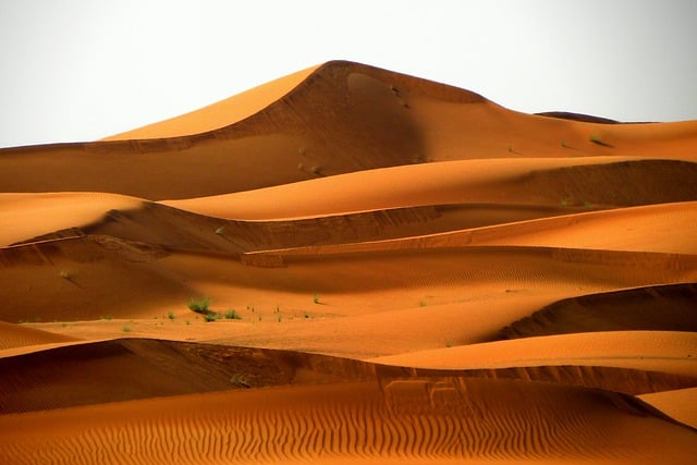 Free download desert sand dunes sand dubai ocher free picture to be edited with GIMP free online image editor