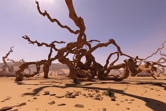 Free download desert sand root tree trunk free picture to be edited with GIMP free online image editor
