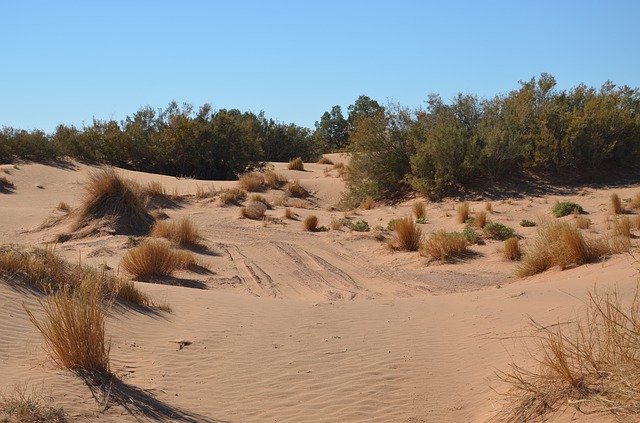 Libreng pag-download ng Desert Sand Sahara - libreng larawan o larawan na ie-edit gamit ang GIMP online na editor ng imahe