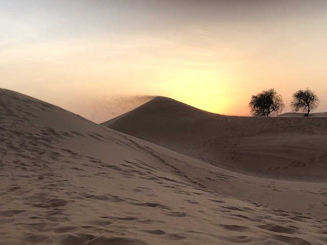 Template Photo Desert Sand Sol -  for OffiDocs