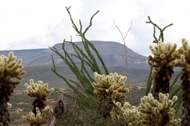 Free download Desert Sonoran Hiking -  free photo or picture to be edited with GIMP online image editor