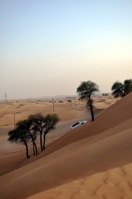Free download desert u a e vacations to travel free picture to be edited with GIMP free online image editor