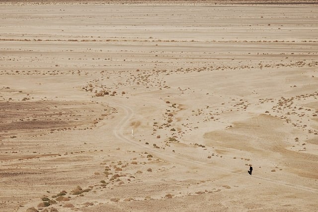 Free download desert walker man lost sunny sand free picture to be edited with GIMP free online image editor