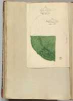 Free download Designs for Two Tureens and a Plate free photo or picture to be edited with GIMP online image editor