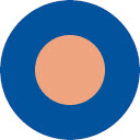 dete  screen for extension Chrome web store in OffiDocs Chromium