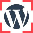 Detect WordPress themes  plugins  screen for extension Chrome web store in OffiDocs Chromium