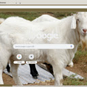 De trang  screen for extension Chrome web store in OffiDocs Chromium