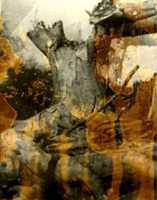 Free download Devel 2 001 free photo or picture to be edited with GIMP online image editor