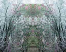 Free download Dewgateswood free photo or picture to be edited with GIMP online image editor