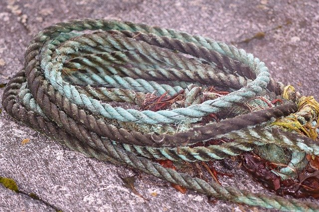 تنزيل مجاني Dew Rope Flotsam - صورة مجانية أو صورة يتم تحريرها باستخدام محرر الصور عبر الإنترنت GIMP