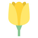 Dewy Yellow Tulips  screen for extension Chrome web store in OffiDocs Chromium