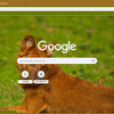 Dhole  screen for extension Chrome web store in OffiDocs Chromium