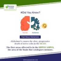 Free download Did You Know? free photo or picture to be edited with GIMP online image editor