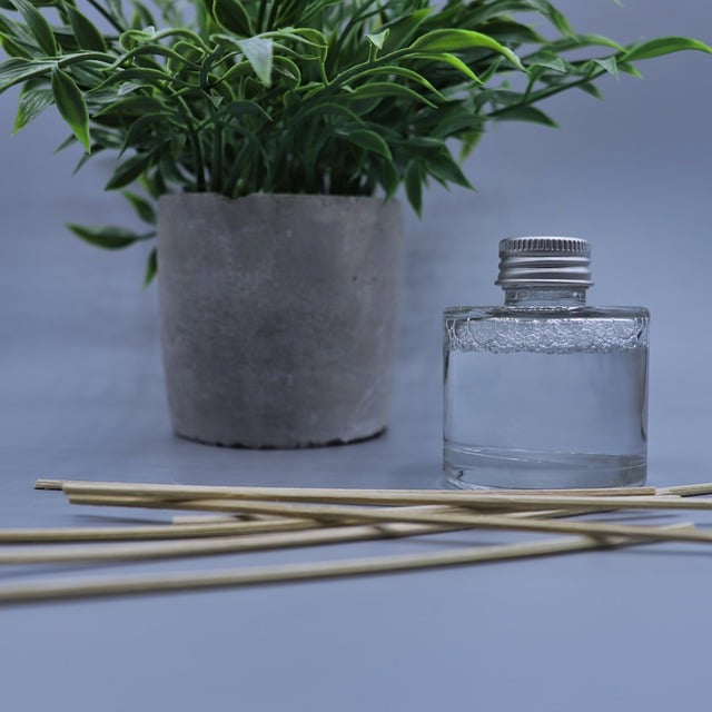 Free download diffuser plant reeds scent free picture to be edited with GIMP free online image editor