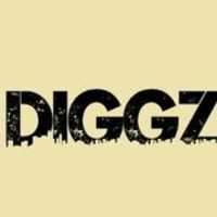 Free download diggz185.apk free photo or picture to be edited with GIMP online image editor