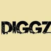 Free download diggz free photo or picture to be edited with GIMP online image editor