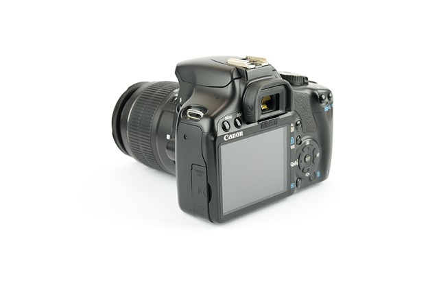 Free graphic digital camera canon eos display to be edited by GIMP free image editor by OffiDocs