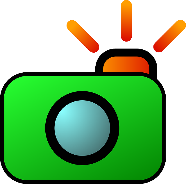 Darmowe pobieranie Aparat Cyfrowy Fotografia - Darmowa grafika wektorowa na Pixabay darmowa ilustracja do edycji za pomocą GIMP darmowy edytor obrazów online