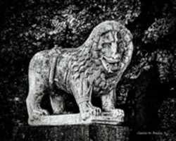 Free download Digital Lomo Photograph of a Lion Statue on Top of the Lucca Wall free photo or picture to be edited with GIMP online image editor