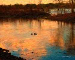 Free download Digital Oil Painting of Brazos Bend State Park free photo or picture to be edited with GIMP online image editor
