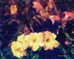 Free download Digital Oil Painting of Daylilies free photo or picture to be edited with GIMP online image editor
