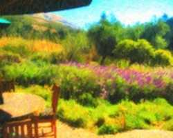 Free download Digital Pastel Drawing of a Garden at Ventana in Big Sur free photo or picture to be edited with GIMP online image editor