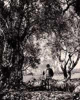Free download Digital Pen and Ink Drawing of a Shepherd in Menton free photo or picture to be edited with GIMP online image editor