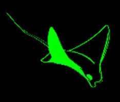 Free download Digitalraysthumbnail free photo or picture to be edited with GIMP online image editor