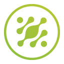 Dilate Local SERP Checker  screen for extension Chrome web store in OffiDocs Chromium