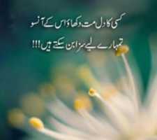 Free download Dil Mat free photo or picture to be edited with GIMP online image editor