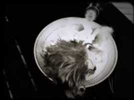 Free download dinerrtime free photo or picture to be edited with GIMP online image editor