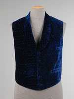 Free download Dinner vest free photo or picture to be edited with GIMP online image editor