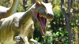 Free download Dinosaur Animal Teeth -  free video to be edited with OpenShot online video editor