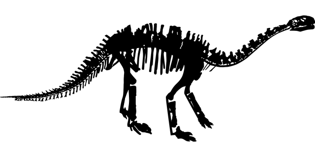 Free download Dinosaur Skeleton Bone - Free vector graphic on Pixabay free illustration to be edited with GIMP free online image editor