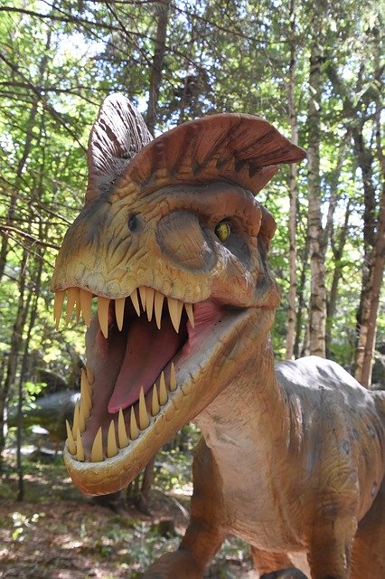 Descarga gratuita Dinosaurs Québec: foto o imagen gratuita para editar con el editor de imágenes en línea GIMP