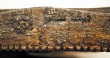 Free download Diptych free photo or picture to be edited with GIMP online image editor