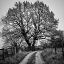Dirt road  screen for extension Chrome web store in OffiDocs Chromium
