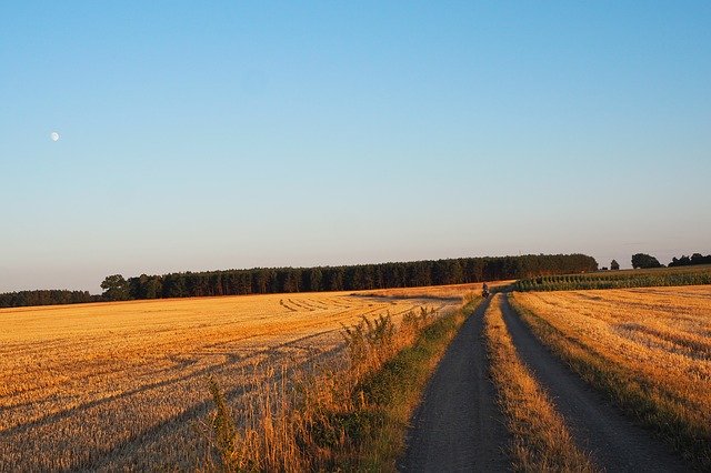 Free download Dirt Road Corn Village -  free photo or picture to be edited with GIMP online image editor