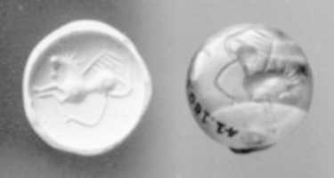 Free download Disc-hemispheroid seal free photo or picture to be edited with GIMP online image editor
