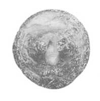 Free download Disk-shaped seal free photo or picture to be edited with GIMP online image editor